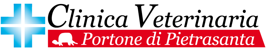 Clinica Veterinaria Portone Pietrasanta (Lucca)
