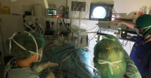 Anestesia negli animali Veterinario Viareggio