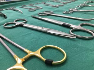 Chirurgia Clinica Veterinaria Portone di Pietrasanta