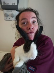 Coniglio gestito da Veterinaria